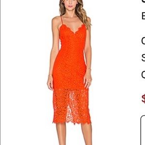 Bardot Sienna lace sheer midi dress